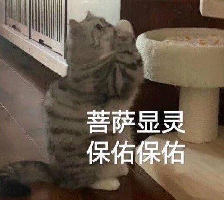 broken image